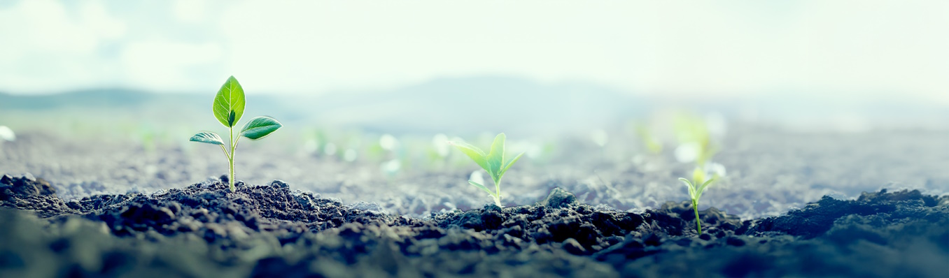 Read more about the article מחוברים לטבע